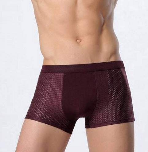 Men's Ice Silk Boxer Briefs | Breathable Mesh Underwear