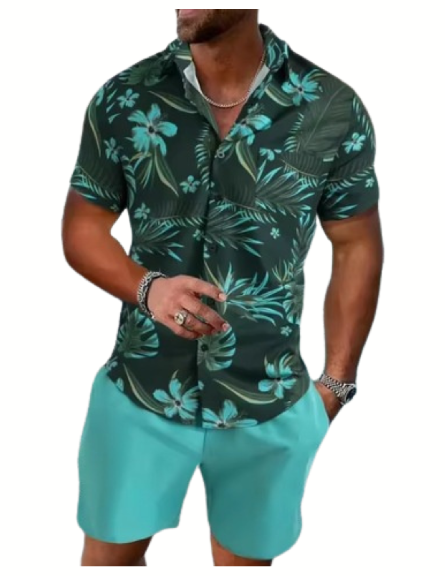 Men's Lapel Collar Short Sleeve & Shorts Outfit